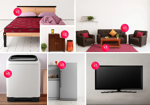 Fully Furnished 2 BHK Combo Light